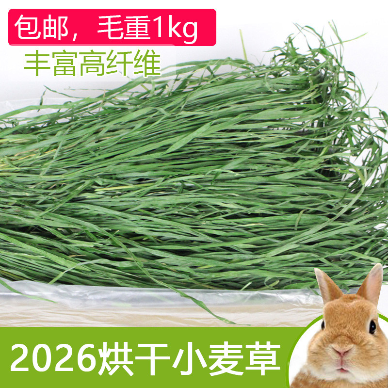 烘干小麦草干草兔子荷兰猪豚鼠龙兔兔干草