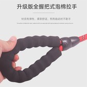 狗狗训犬p链p绳金毛拉布拉多阿拉斯加牵引绳中大型犬遛狗绳狗链子