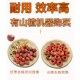 红枣去核开口机 去红枣核神器家用红枣夹核桃山楂去核 红枣去核器