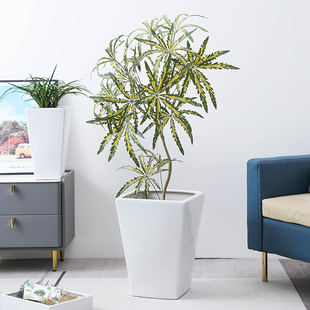 简约白色方形陶瓷花盆家用龙血树客厅落地金钱树兰花千年木高花盆