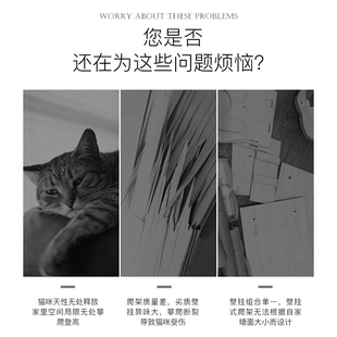 宠贝亚猫爬架挂墙面墙壁式猫墙猫窝猫树壁挂式实木猫抓墙猫抓柱