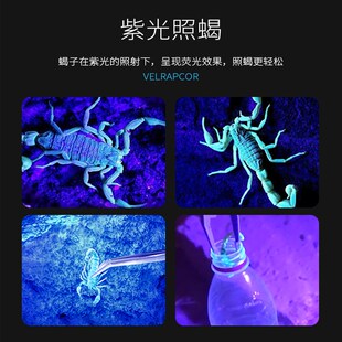 2025新款照蝎子专用灯强光充电超亮户外长续航白紫光手提式手电筒