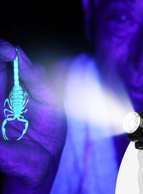 大光圈蝎子头灯可充电Led超亮光变焦白紫色双光源蝎子灯超长待机