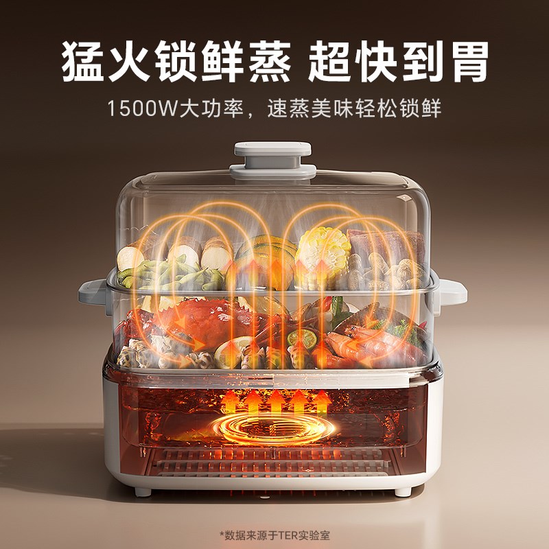 【新品】TER电蒸锅多功能家用2025新款三层不锈钢水箱蒸煮一体锅