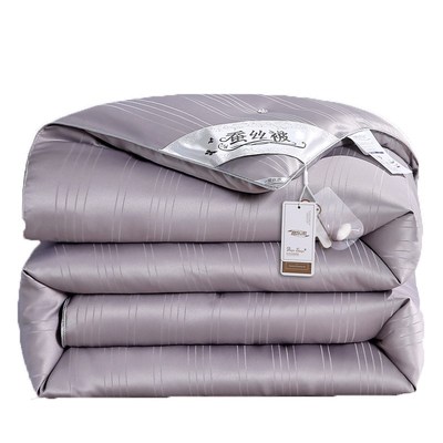 FDL蚕丝被100桑蚕丝加厚保暖冬被子母被二合一夏凉被春秋空调被芯