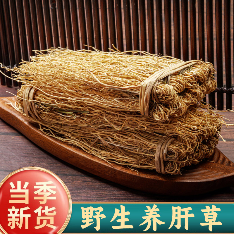 养肝草中药材新鲜特级干货