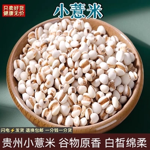 正宗薏米仁新货特级优质米仁贵州兴仁大薏仁商用散装豆浆五谷杂粮