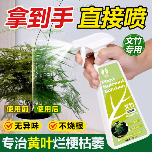 文竹营养液治黄叶专用免稀释植物水培通用型室内盆栽绿植花卉直喷
