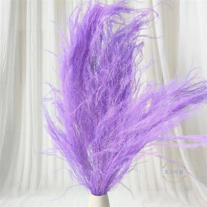 龙须草花束真花干花装饰客厅摆设婚礼布置云南工厂永生花