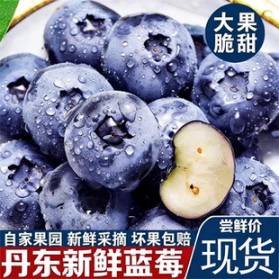 正宗丹东花香蓝莓新鲜现摘产地直发脆甜多汁营养清香怡人空运包邮