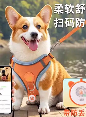 宠物胸背带狗牵引绳背心式中小型犬柯基柴犬可调节胸背带狗链子