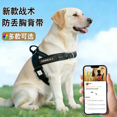 防丢防爆冲马鞍式胸背牵引绳
