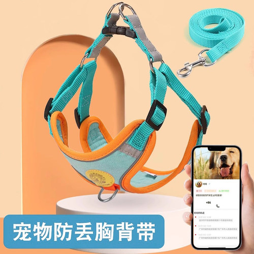 狗狗背心式牵引绳泰迪比熊小型犬