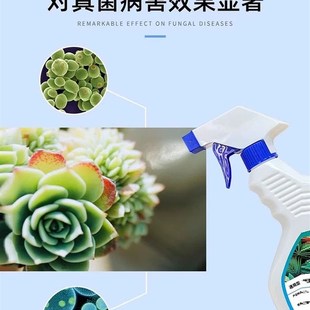 兰花黑斑病专用杀菌药治黄叶焦尖叶子发黄肥料烂根枯枝黑腐营养液