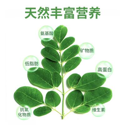 辣木叶虎皮牡丹玄凤鹦鹉鸟零食奖励鸟粮克可兑斤以上