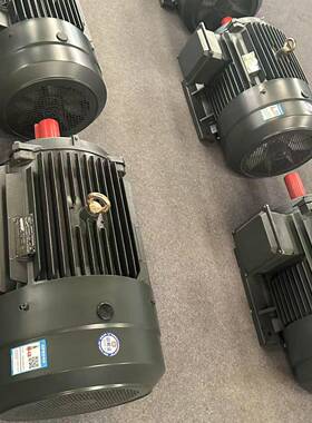 185w三相异步电动机IE3国标新三级能效2级/4级/6级电机现货