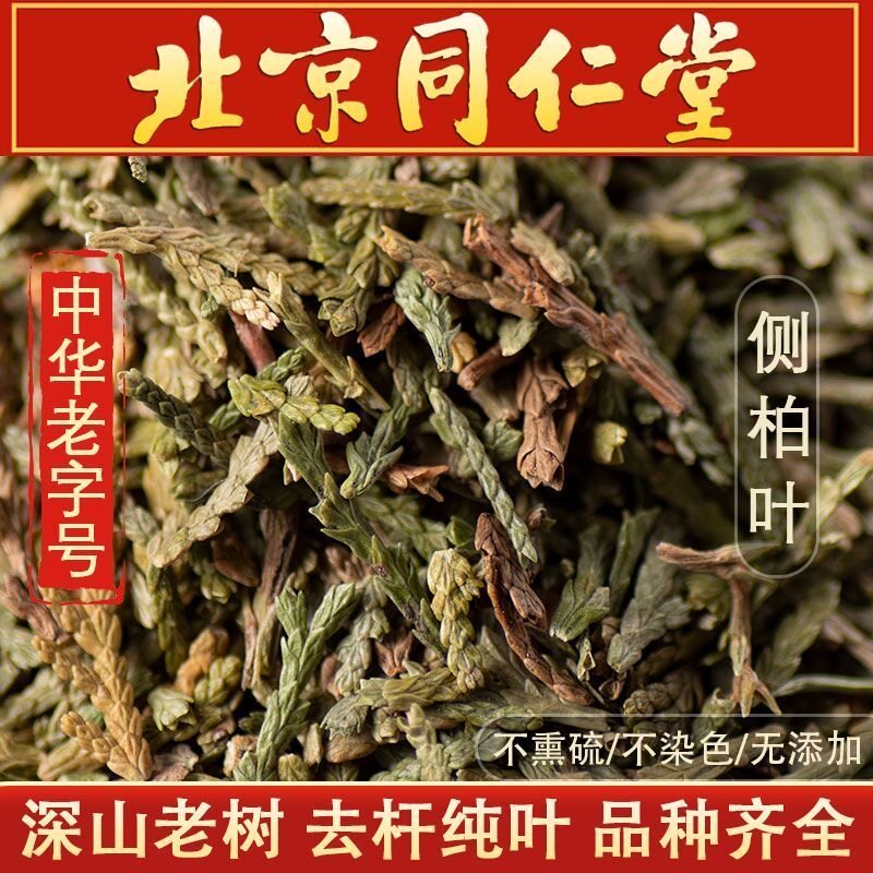 侧柏叶中药材500g树发生粉