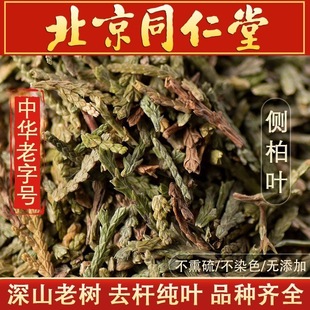 侧柏叶中药材500g柏树发生粉包防精选草药洗发水干新鲜旗舰店