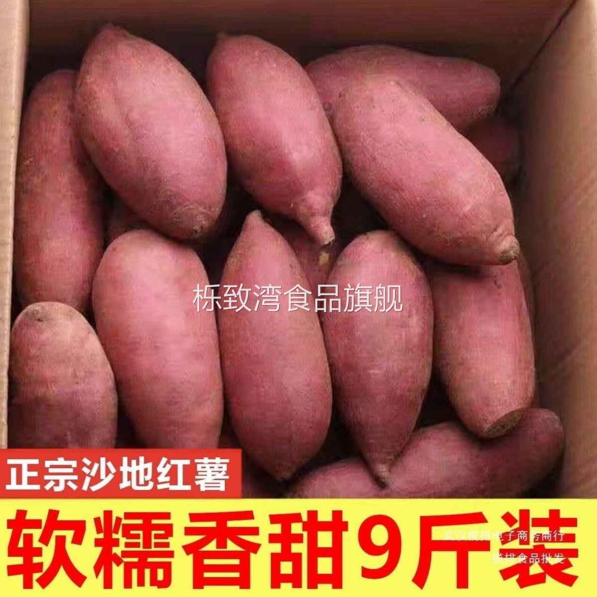 产地直发正宗龙九蜜薯糖心地瓜沙地烤红薯山芋红薯超甜地瓜