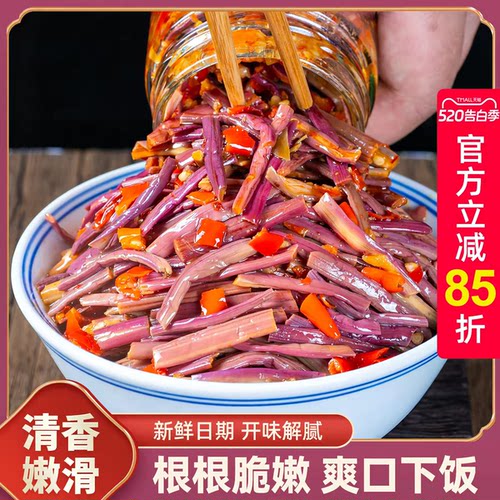 湖南特产新鲜蕨菜即食下饭