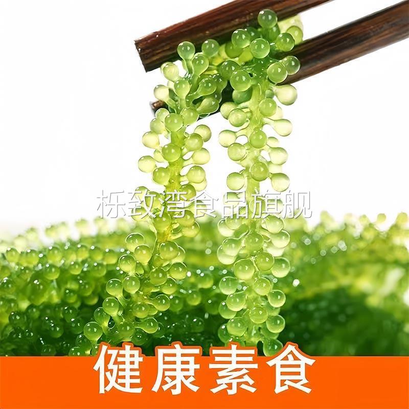 儿童海葡萄绿色鱼子酱即食泡发小孩吃的新鲜盐渍海葡萄官方旗舰店