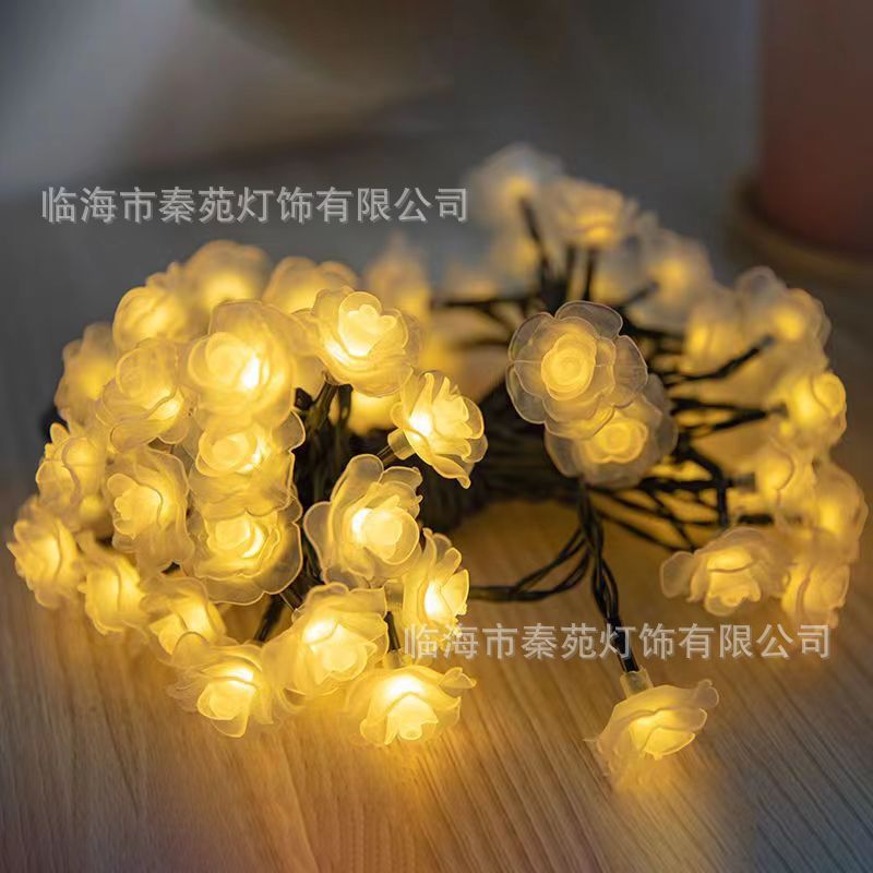 LED串灯玫瑰花彩灯闪灯满天星卧室灯串婚庆房间装饰灯