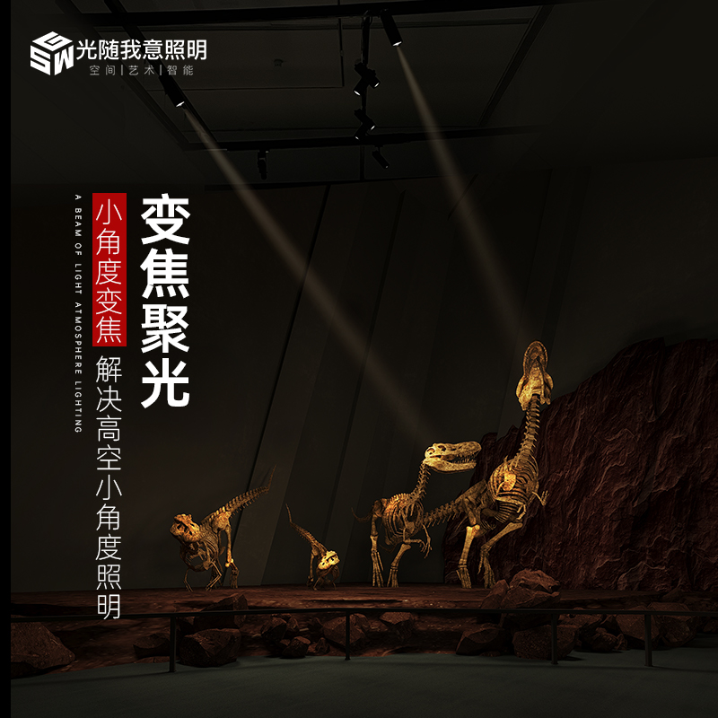 小角度3度5度变k焦聚光束氛围明装餐桌博物馆清吧餐饮led轨道射灯
