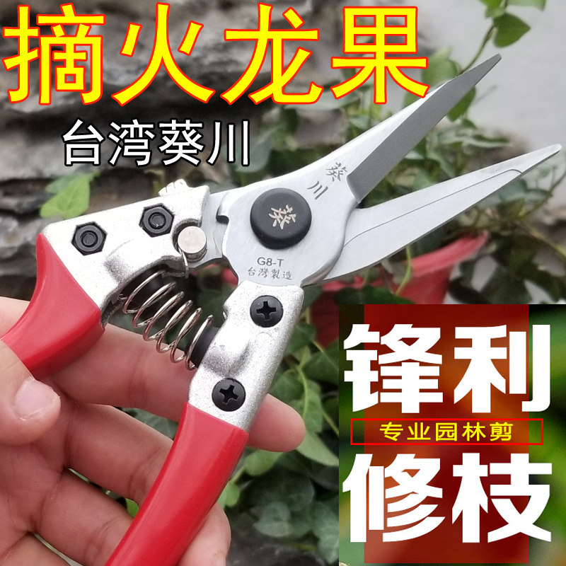 火龙果摘果剪刀水果采果剪剪刀摘果剪修枝K剪园丁粗枝园艺嫁接剪
