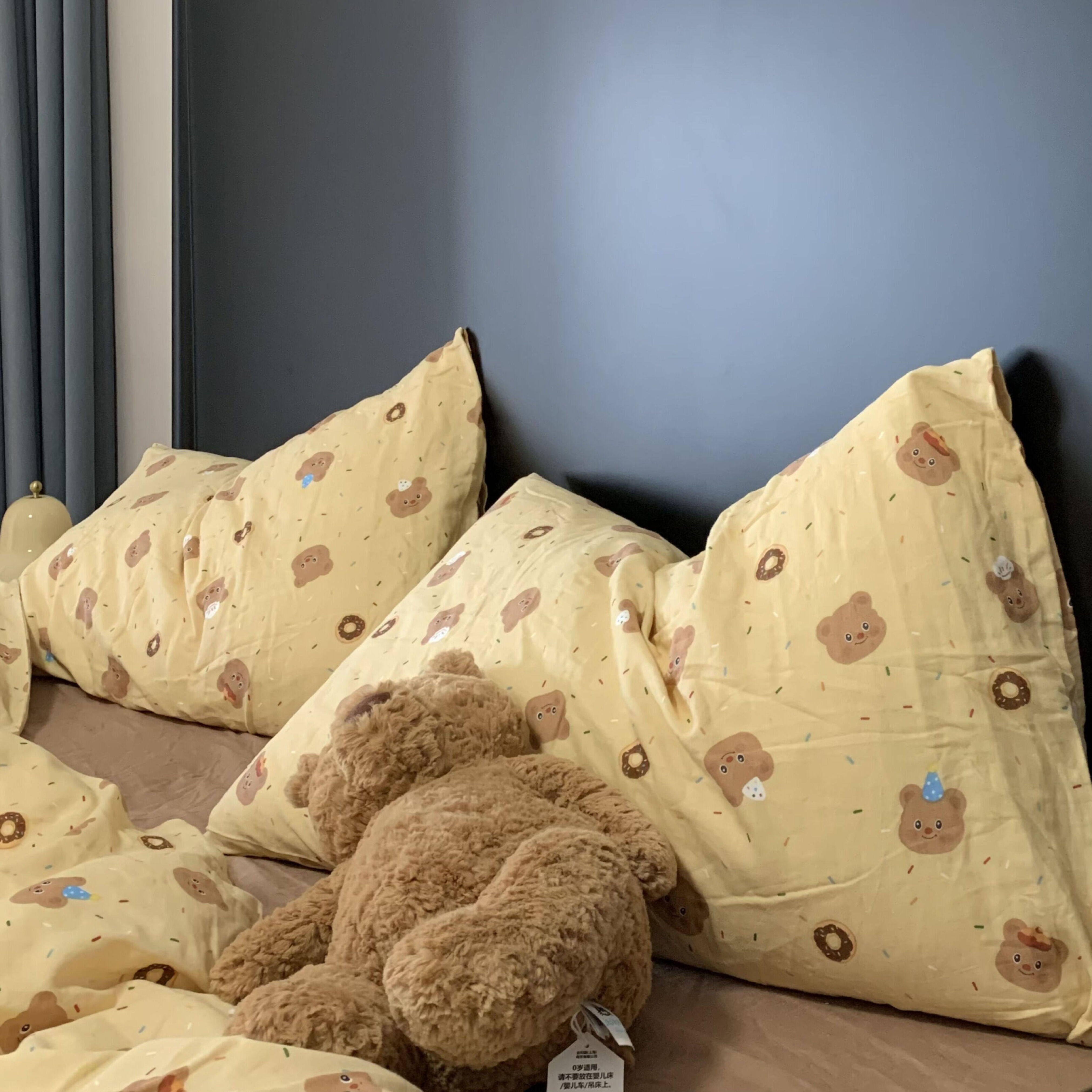 卡通A类100全棉双层纱小枕套30*50儿童纯棉单个成人一只对装40*60