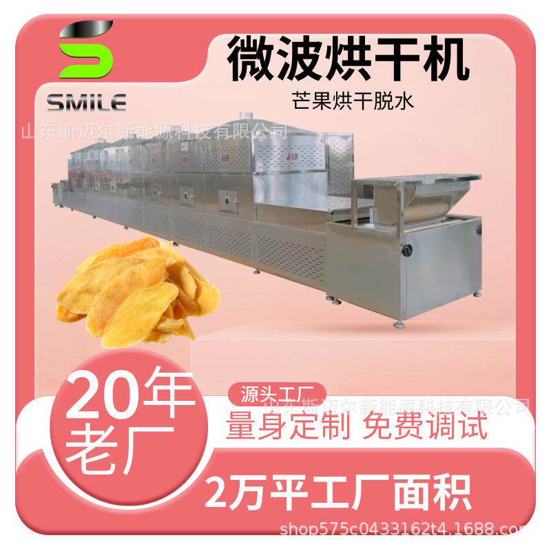 芒果葡萄干隧道式烘干工业烘干设备药材桂圆桂皮烘干机