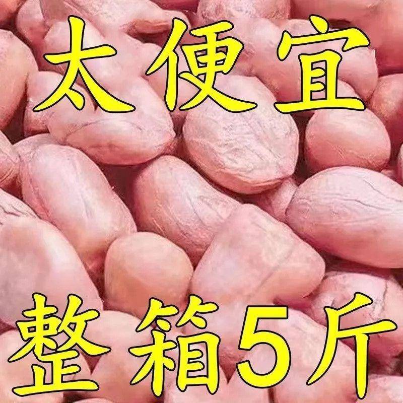 【5斤特价包邮】现剥新花生米新货粉皮新鲜大粒榨油白沙花生10g