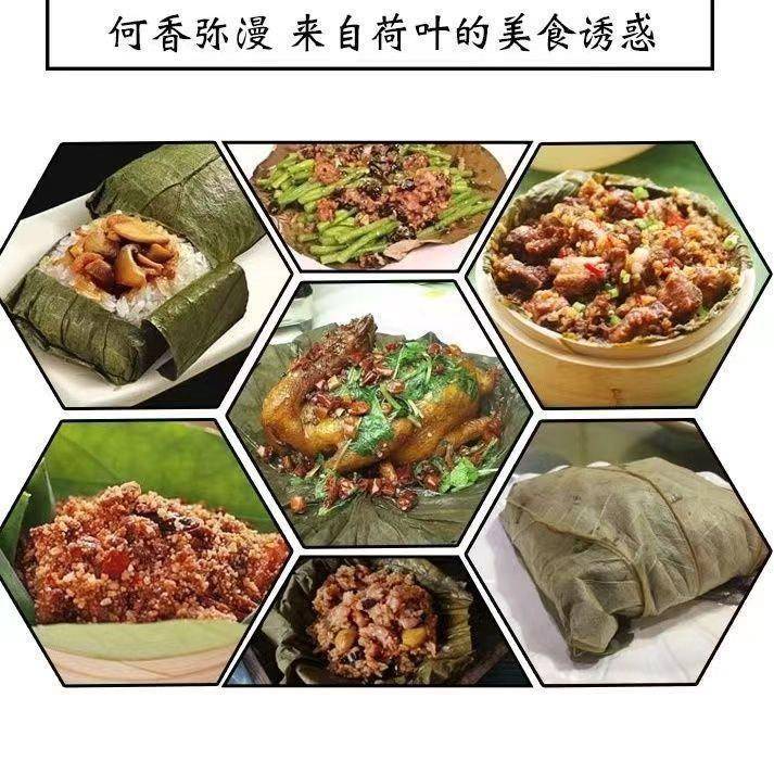 微山荷叶整张荷叶茶荷叶片干荷叶糯米鸡荷叶鸡荷叶饭荷叶整张
