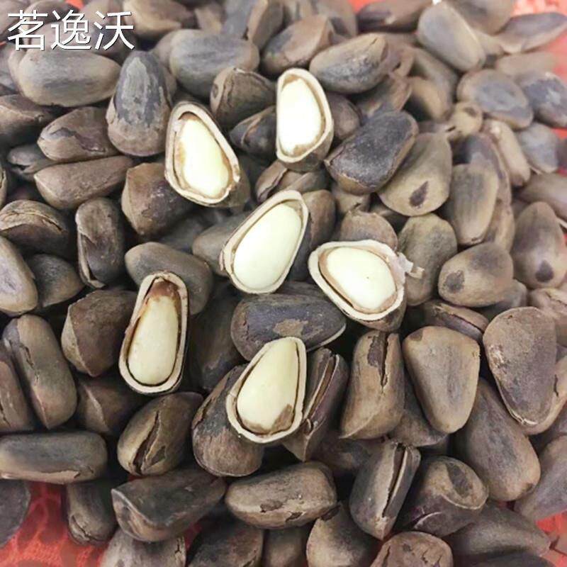 林娃娃开口松子吉林特产休