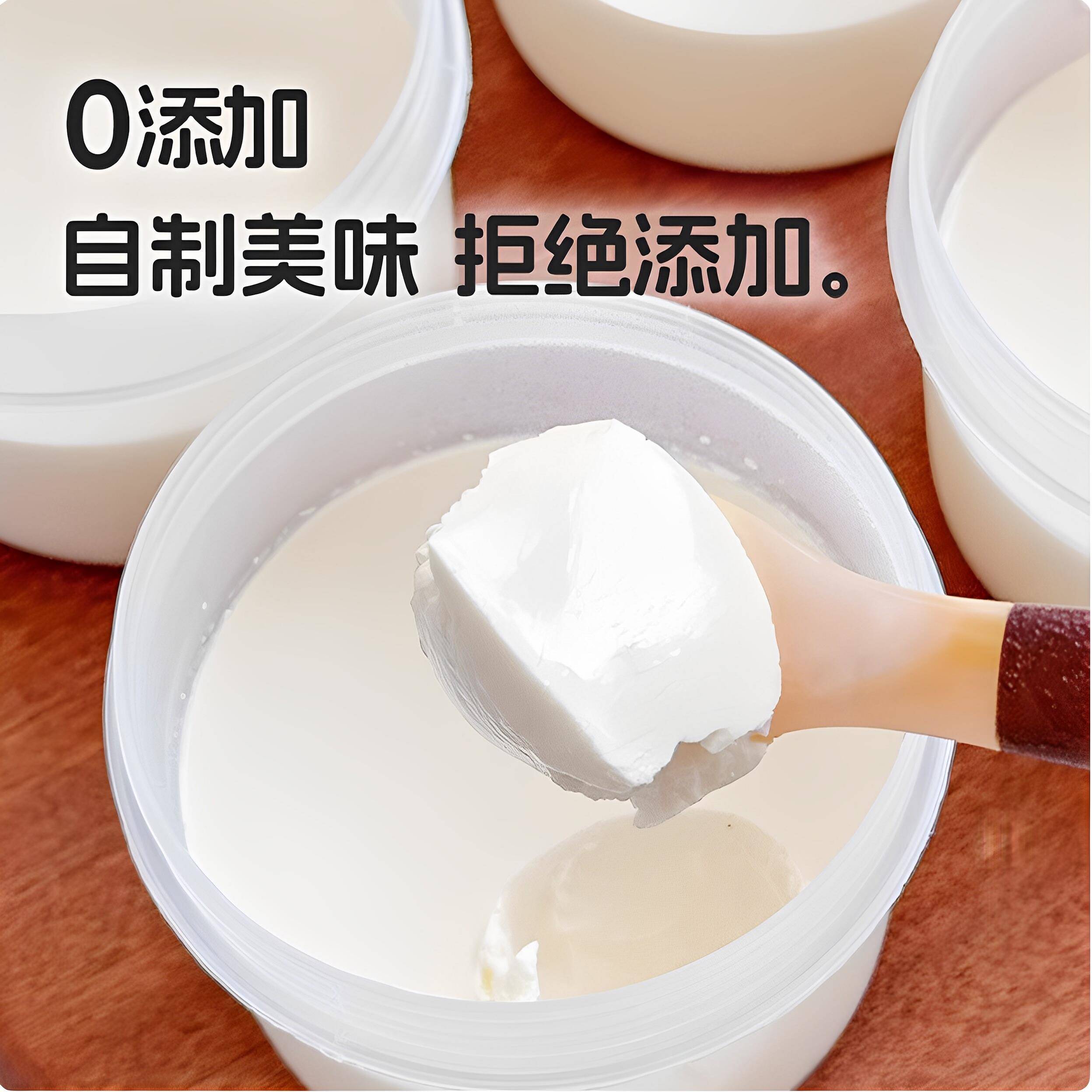 开菲尔酸奶发酵菌粉自制酸奶Kefir进口原料常温发酵开菲尔菌种