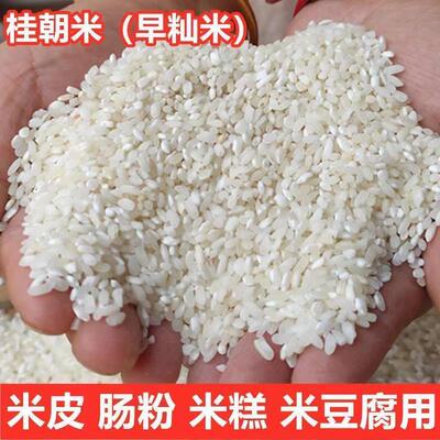 桂朝米凉糕肠河粉汉中米皮专用大米豆腐早贵州贵潮米商用珍桂