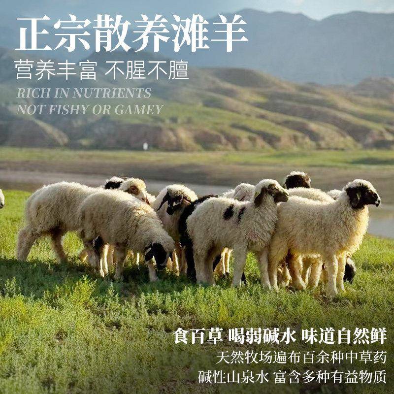 新品大用羊肉串牛肉串烧烤食材半成品正宗新鲜户外烤肉套餐家用版