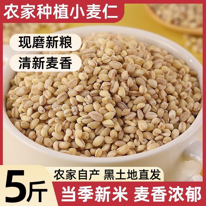 （获嘉彩麦）白糯小麦仁农