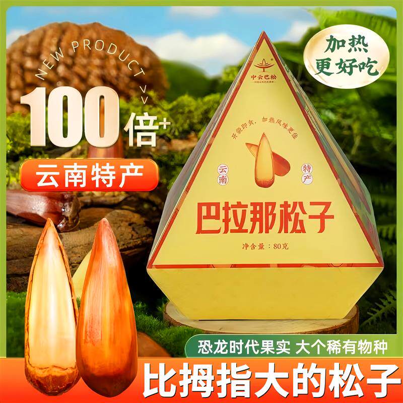 云南巴拉那松子送礼专用特