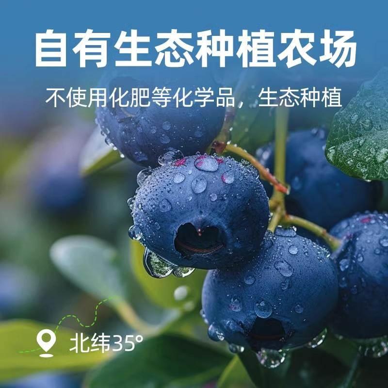 沃田蓝蓝莓果干500g蜜饯果脯办公室休闲零食小袋装蓝莓干独立包装
