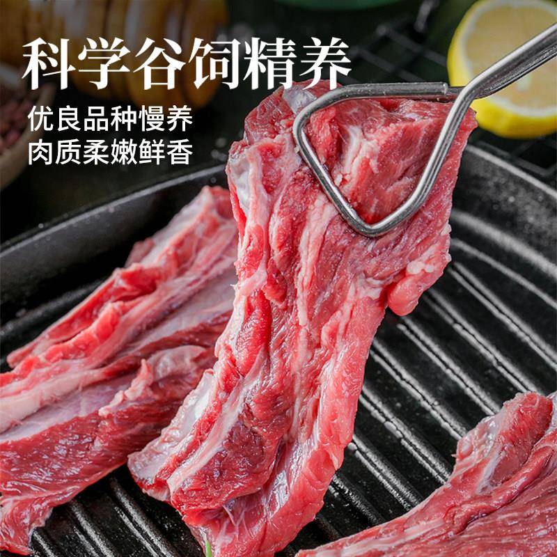 新品牛肋条肉新鲜原切黄牛肉整块去骨牛肋条肉3斤商用烤肉烧烤食