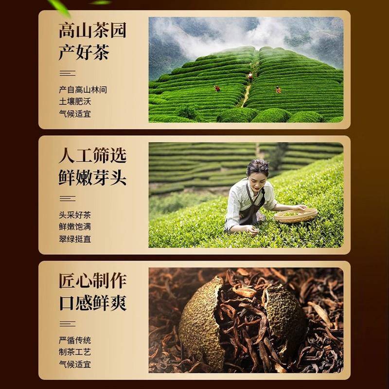 青柑普洱茶东方某叶平替茶包冷泡茶青桔甘树云南熟茶冷萃新茶茶叶