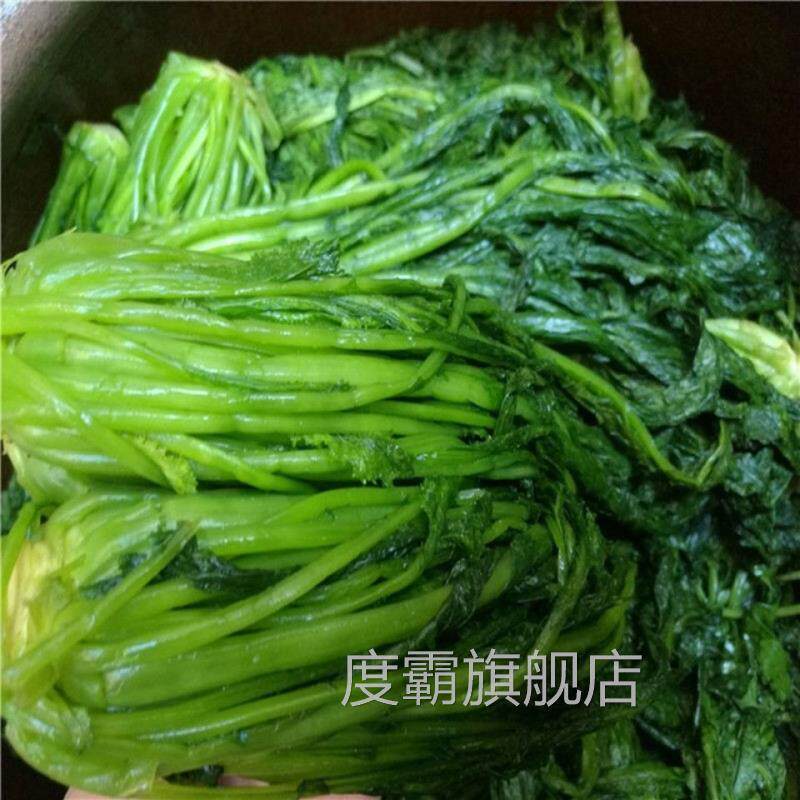 苏北新鲜雪里红咸菜腌菜
