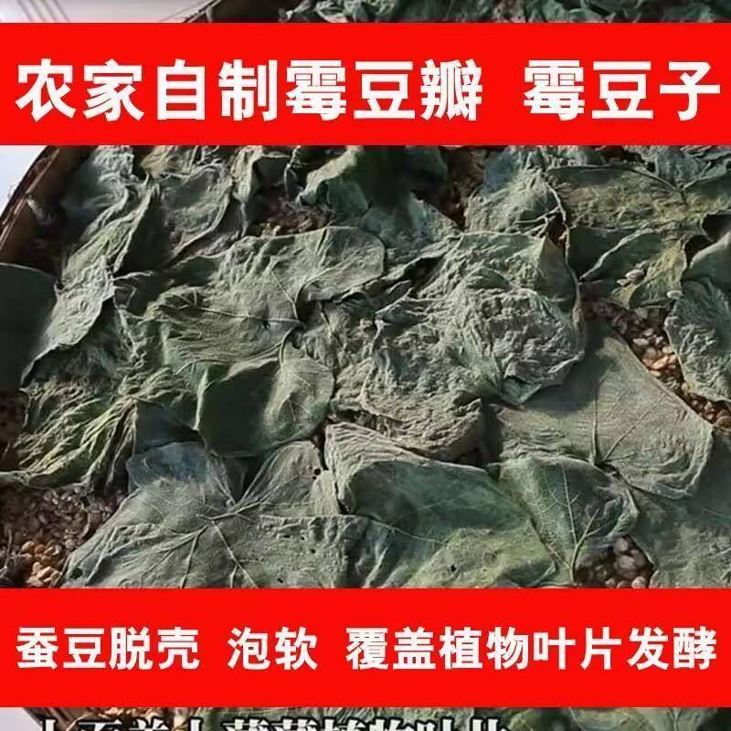 自然发酵四川霉豆瓣发酵蚕豆农家自制做豆瓣酱酱油原料包邮
