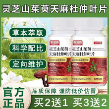 正品灵芝山茱萸天麻杜仲叶片的功效植物萃取非北京同仁堂官方旗店