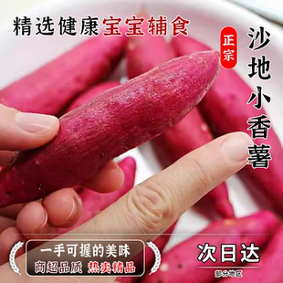 现发新鲜正宗农家香甜粉糯现挖小番薯农家番小香板栗薯红薯天目薯