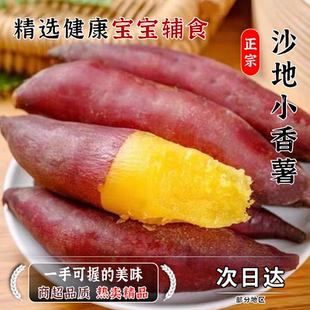 新鲜正宗农家香甜粉糯现挖小番薯番小香板栗薯红薯天目薯农家现发