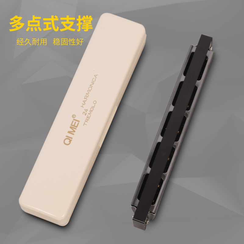 口琴24孔复音初学者成人儿童学生练习口琴演奏入门c调乐器