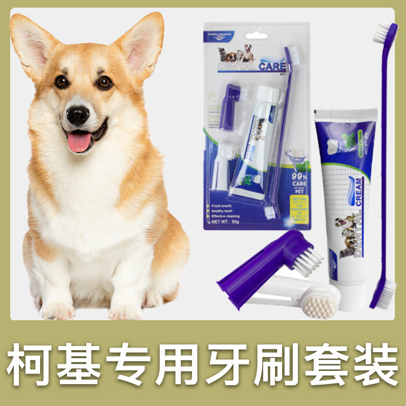 柯基犬专用牙刷套装小狗狗宠物牙膏刷牙牙用具牙齿清洁用品指套,宠物/宠物食品及用品,猫狗牙膏/牙具,淘宝优惠券,粉丝福利购,淘宝优惠卷