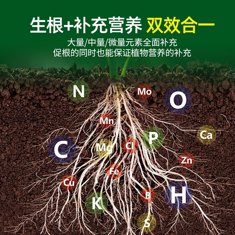 大树生根液枯树再生复活液树木移栽壮苗剂植物通用型营养液激活液