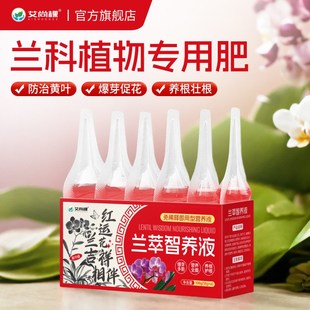 兰花专用营养液即插型君子兰蝴蝶兰家用盆栽养花肥料免稀释专用肥
